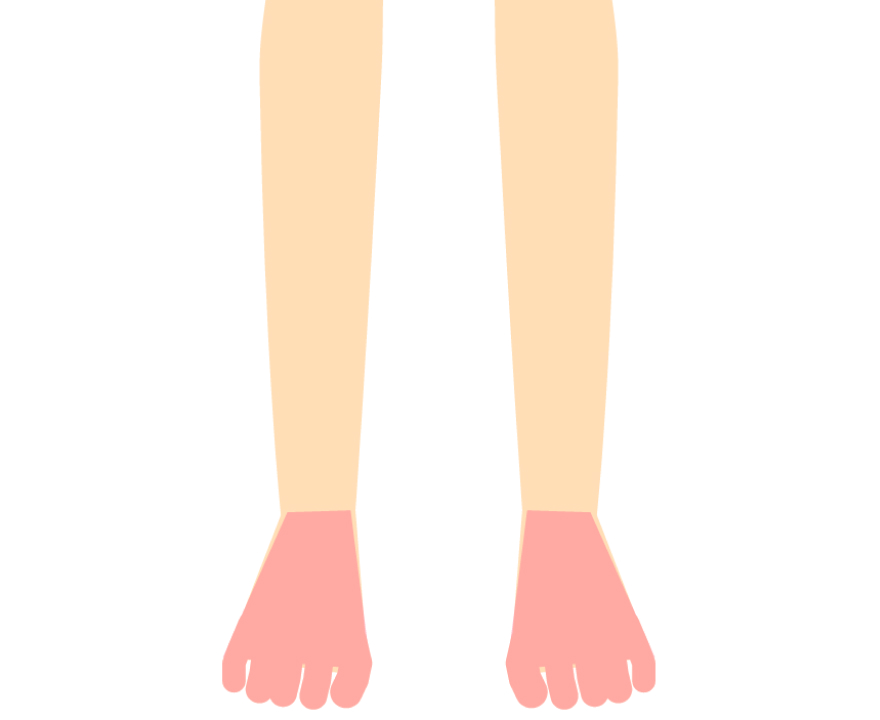 足の甲と指(男・女)