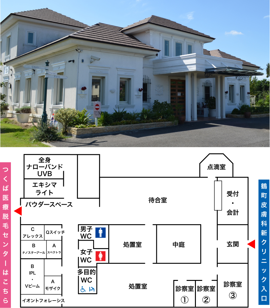 皮膚科院内マップ